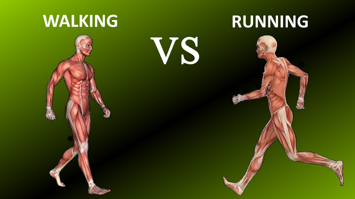 Walking vs Running for Weight Loss (Science-Backed)